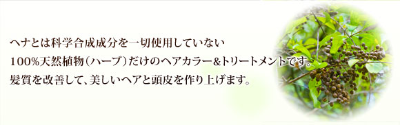 天然100% ヘナ